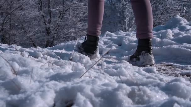 Feet Winter Boots Walk White Fluffy Snow Slow Walking Winter — Video Stock