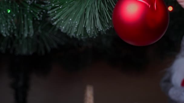 Womans Hand Hangs New Years Toy Green Christmas Tree Christmas — Stok video