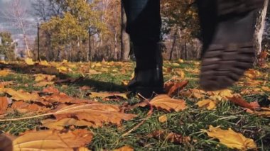 Sonbahar akçaağacı üzerinde yürüyen çizmeli genç bir kadının bacakları ağır çekim parkında ayrılıyor. Bir kız güneşli bir parkta bir buket sonbahar yaprağı topluyor. Sonbahar sarı yaprakları koleksiyonu, sonbahar parkında yürüyüş..