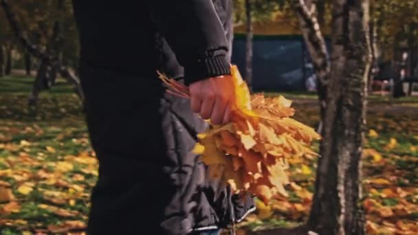 Молода Жінка Носить Осіннє Кленове Листя Руці Повільному Парку Дівчина — стокове відео