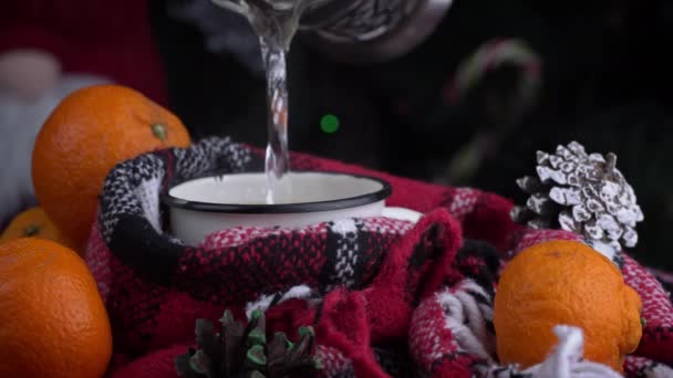 Girl Drinks Coffee Cozy New Years Atmosphere Background Christmas Tree — Vídeos de Stock