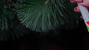 Womans hand hangs a New Years toy on a green Christmas tree. Christmas tree decoration. Home decor for the new year.