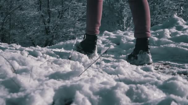 Ноги Зимних Сапогах Ходят Белому Пушистому Снегу Медленном Темпе Прогулки — стоковое видео