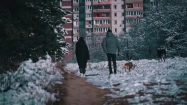 Couple man and woman with dogs on a winter walk in slow mo. A couple in love walks walks along the winter paths in sunny weather. The family walks in the snow in the forest. Walking pets.