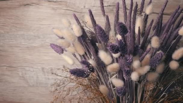 Dried Flowers Purple Hues Rotate Close Beautiful Lagurus Falyaris Spikelets — Stockvideo