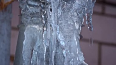 Icicles hang from the roof of the house close-up. After frost, the formation of ice icicles. Water dripping from the roof flowing down the icicles.