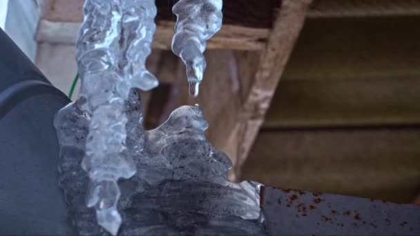 Icicles Hang Roof House Close Frost Formation Ice Icicles Water — Stockvideo