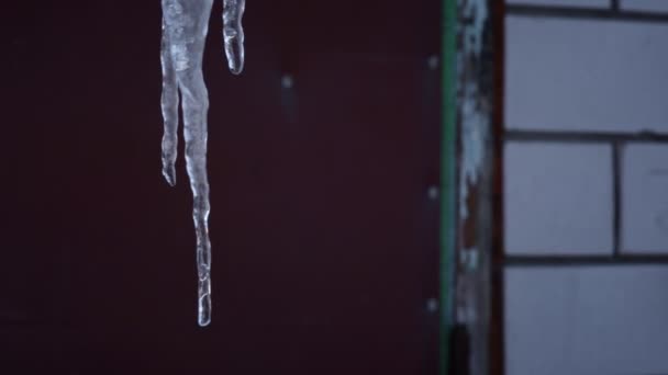 Evin Çatısında Asılı Duran Buz Saçakları Var Donmadan Sonra Buz — Stok video