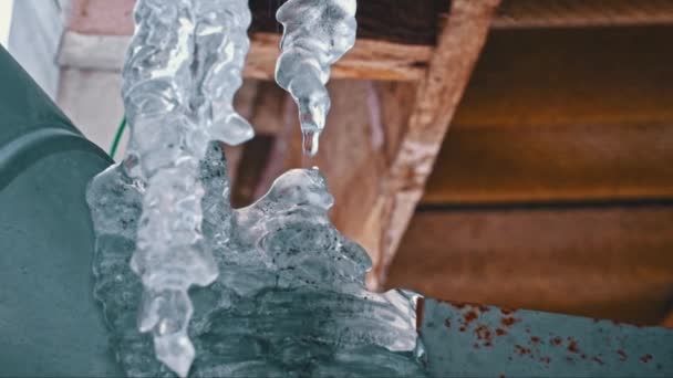 Icicles Pendurados Telhado Casa Close Após Geada Formação Ciclos Gelo — Vídeo de Stock