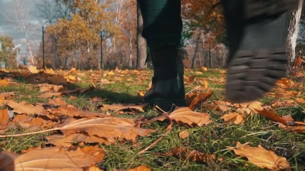 一个穿着靴子 走在秋天枫叶上的年轻女子的腿在缓慢的公园里 一个女孩在一个阳光充足的公园里采摘一束秋叶 收集秋天的黄叶 漫步在秋天的公园 — 图库视频影像