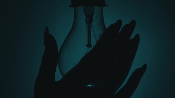Light Bulb Turns Goes Out Touch Persons Hand Dark Slow — Stockvideo