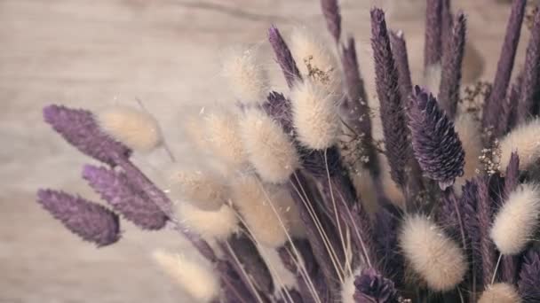 Dried Flowers Purple Hues Rotate Close Beautiful Lagurus Falyaris Spikelets — Wideo stockowe