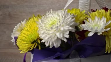 Flowers in a basket of chrysanthemums of different colors are spinning. Gift bouquet of flowers. Large beautiful flowers rotate and smell.