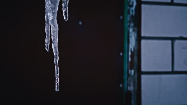 Icicles Hang Roof House Close Frost Formation Ice Icicles Water — 图库视频影像