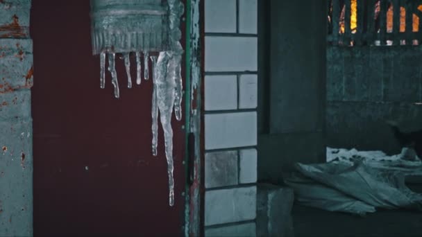 つららの家の屋根の近くからハングアップする 霜の後 氷のつららの形成 氷柱を流れる屋根から滴り落ちる水 — ストック動画