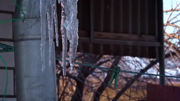 Icicles Hang Roof House Close Frost Formation Ice Icicles Water — Stockvideo