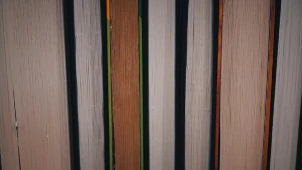 Young Girl Chooses Book Shelf Books Library Bookshelves Background Stack — Vídeos de Stock