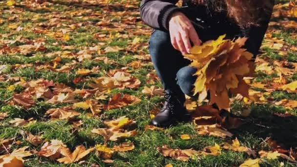 Młoda Kobieta Zbiera Kilka Żółtych Klonowych Jesiennych Liści Ręce Zbliżenie — Wideo stockowe