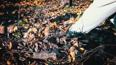 Woman removes autumn leaves by raking them into a pile. Cleaning up autumn leaves. The cleaning lady collects brown leaves on the ground.