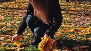 Genç kadın elinde bir demet sarı akçaağaç sonbahar yaprağı topluyor, yakın plan. Kız güneşli bir parkta bir buket sonbahar yaprağı topluyor. Sonbahar sarı yaprakları koleksiyonu. Sonbahar parkında yürü.