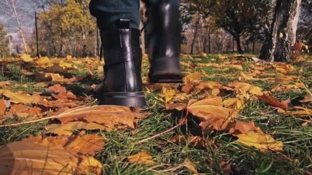 Beine Einer Jungen Frau Stiefeln Die Auf Herbstlichen Ahornblättern Langsamen — Stockvideo
