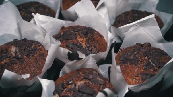 Аппетитные Шоколадные Кексы Крутятся Тарелке Крупным Планом Вкусный Десерт Медленно — стоковое видео