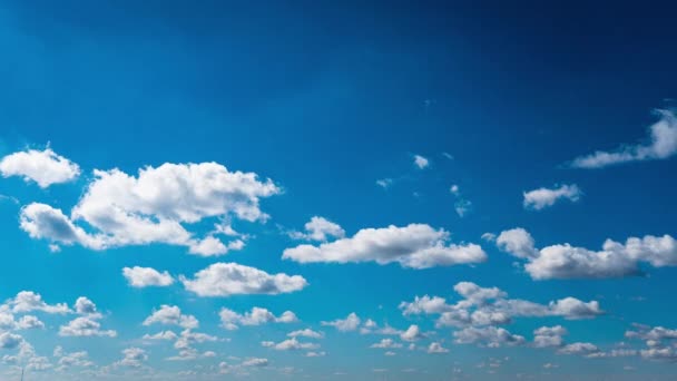 White Fluffy Clouds Slowly Float Blue Daytime Sky Timelapse Beautiful — Video Stock