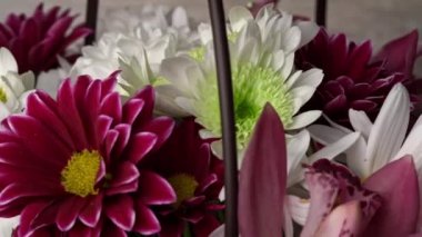 Flowers in a basket of chrysanthemums of different colors are spinning. Gift bouquet of flowers. Large beautiful flowers rotate and smell.