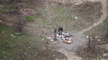 Evsiz biri çöpleri büyük bir çöp yığınının yanına yerleştirir. Evsiz bir adam bahçedeki çöpleri karıştırıyor. Çöpleri ayıklamak, şişeleri vermek..