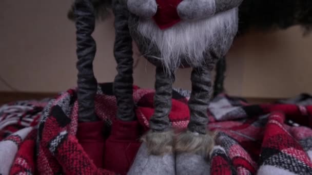 New Years Scandinavian Gnome Stands Christmas Tree Red Christmas Elf — Video