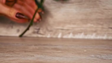 Kırmızı ıslak gül beyaz bir masaya düşer, damlayan su damlaları. Yapraklarında damlalar olan kırmızı gül beyaz arka planda hareket eder. Zarif kırmızı bir gül, yaprakları çiğ damlalarıyla kaplı..