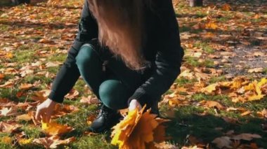 Genç kadın elinde bir demet sarı akçaağaç sonbahar yaprağı topluyor, yakın plan. Kız güneşli bir parkta bir buket sonbahar yaprağı topluyor. Sonbahar sarı yaprakları koleksiyonu. Sonbahar parkında yürü.