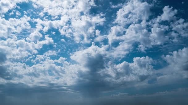 白いふわふわの雲が青空のタイムラプスをゆっくりと浮遊しています 美しい空が動いている 空雪白い雲が横に移動します — ストック動画