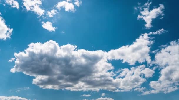 Langsam Schweben Weiße Flauschige Wolken Durch Den Blauen Tageshimmel Schöner — Stockvideo