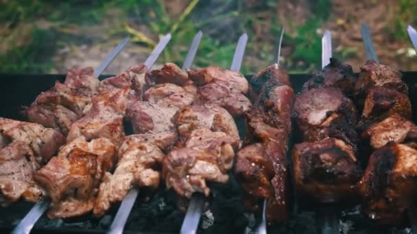 Kebab Frito Espetos Grelha Bela Carne Suculenta Cozinha Uma Fogueira — Vídeo de Stock