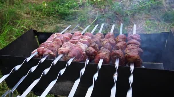 Kebab Fríe Pinchos Parrilla Juicy Hermosa Carne Cocina Fuego Abierto — Vídeos de Stock