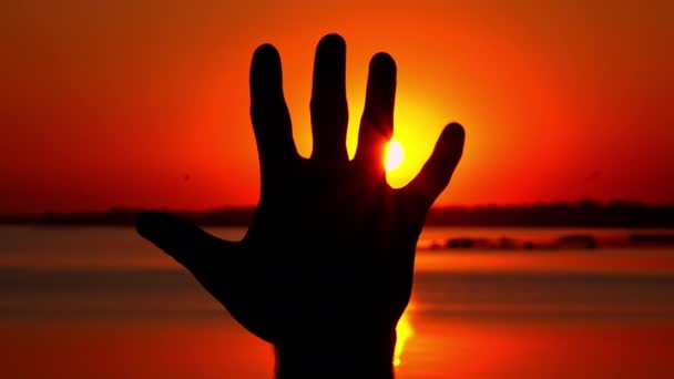 Sylwetka Dłoni Tle Zachodzącego Słońca Mans Ręka Pobliżu Wody Zachodzie — Wideo stockowe