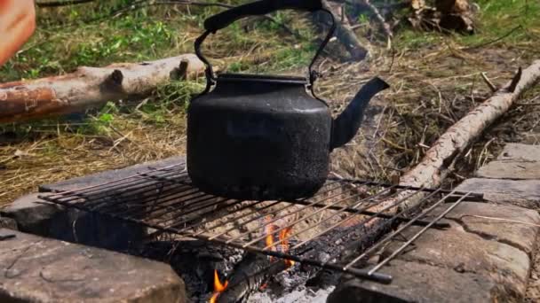水壶在白天的篝火中沸腾 在森林里野餐 水壶着火了 烧水了 野营水壶在篝火上加热 — 图库视频影像