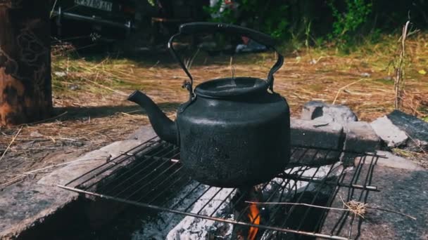 Der Wasserkocher Kocht Tagsüber Auf Offenem Feuer Picknick Wald Der — Stockvideo