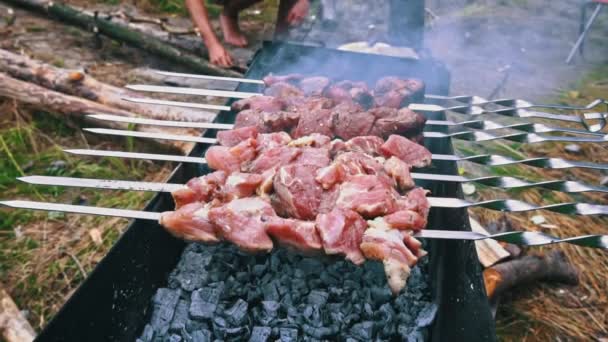 Kebab Fríe Pinchos Parrilla Juicy Hermosa Carne Cocina Fuego Abierto — Vídeo de stock