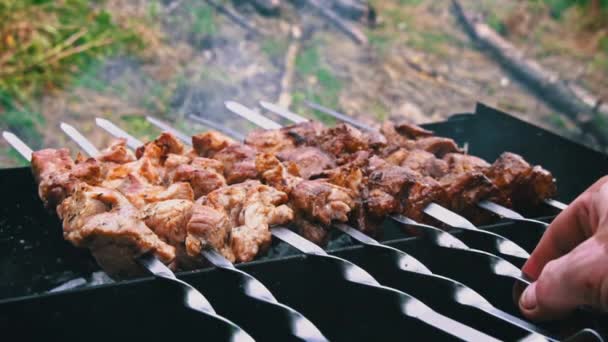 Kebab在烤架上的绞刑架上被炸 然后翻过来 鲜美多汁的肉在篝火中烹调 野餐的性质与烧烤 烟是从煤块上烤肉冒出来的 — 图库视频影像