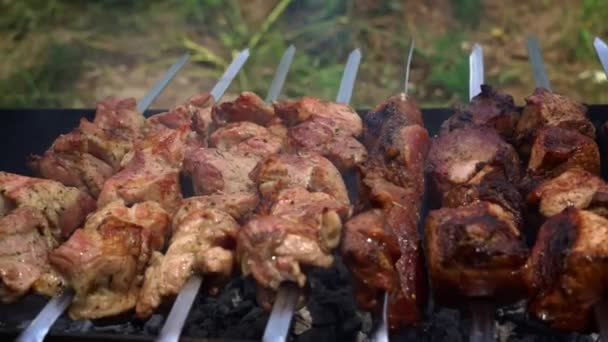 Kebab Smaží Špejlích Grilu Šťavnaté Krásné Maso Vaří Otevřeném Ohni — Stock video