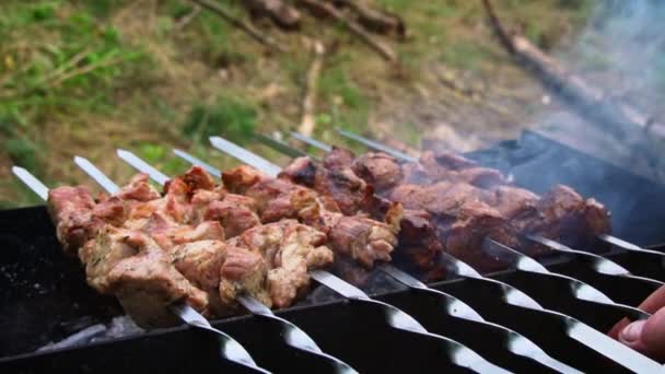 Kebab Fried Skewers Grill Turned Juicy Beautiful Meat Cooked Open — Stock Video