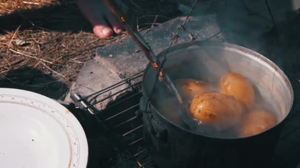 Aardappelen Worden Overdag Een Grote Ketel Boven Een Open Vuur — Stockvideo