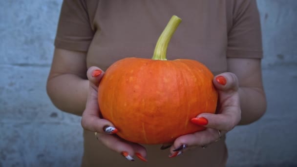 女性は明るいオレンジ色のカボチャを手でクローズアップします ハロウィーンの準備と成長カボチャ 秋の休日 手でカボチャ 顔がない パーマカルチャーの収穫 ファーマー — ストック動画