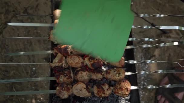Kebab Stekt Spett Grillen Saftigt Vackert Kött Tillagas Öppen Eld — Stockvideo