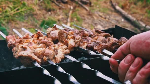 Kebap Izgarada Kızartılmış Ters Dönmüş Sulu Güzel Açık Ateşte Pişirilir — Stok video
