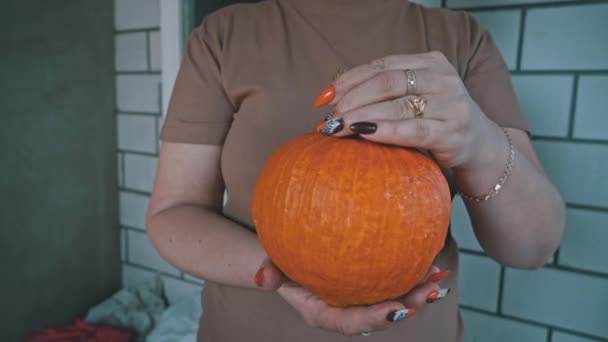 Fényes Narancssárga Tököt Tart Kezében Közelről Felkészülök Halloweenre Tököt Növesztek — Stock videók