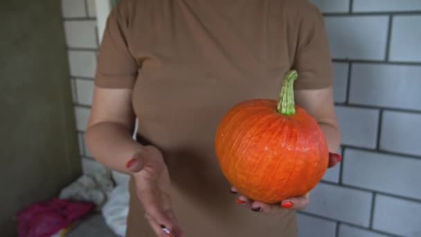 Mujer Sostiene Calabaza Naranja Brillante Sus Manos Cerca Preparándose Para — Vídeo de stock