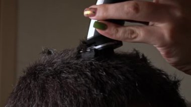 Yavaş çekimde kırpıcı ile erkek saç kesimi. Berber erkek müşteriye kısa saç kesimi yapıyor. Profesyonel kuaför, gençlerin saçını makasla keser. Elektrikli traşlı erkek kuaförü.